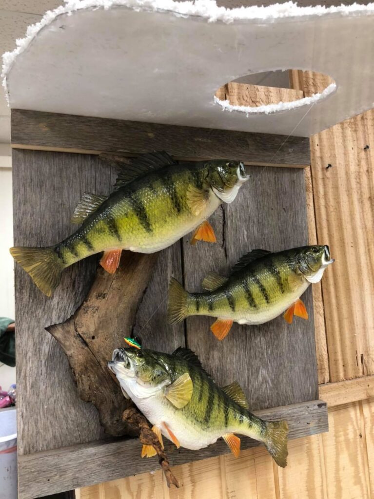 Taxidermy Linwood MI