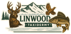 Linwood Taxidermy
