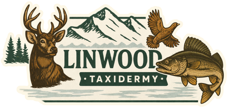 Linwood Taxidermy